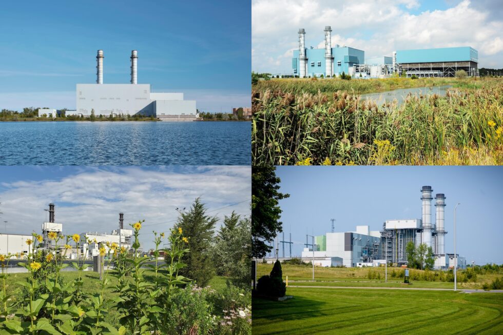 4 Atura site locations arranged in a collage