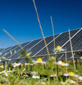 solar panels in a field